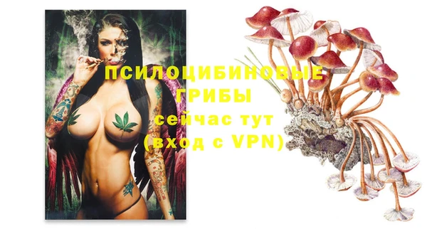 ALPHA PVP Баксан