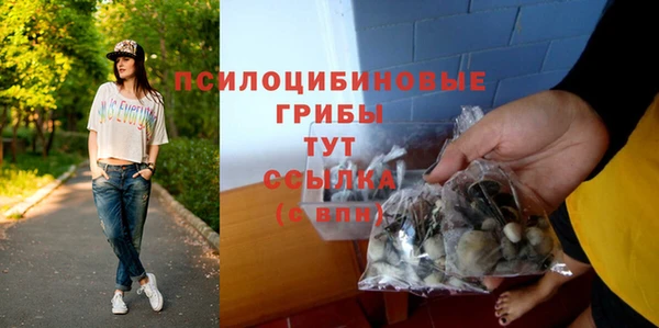 ALPHA PVP Баксан