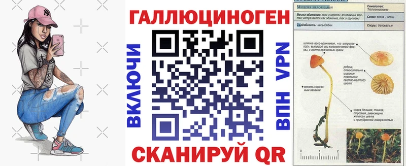 OMG маркетплейс  Славянск-на-Кубани  Галлюциногенные грибы мицелий 